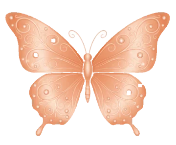 Mariposa